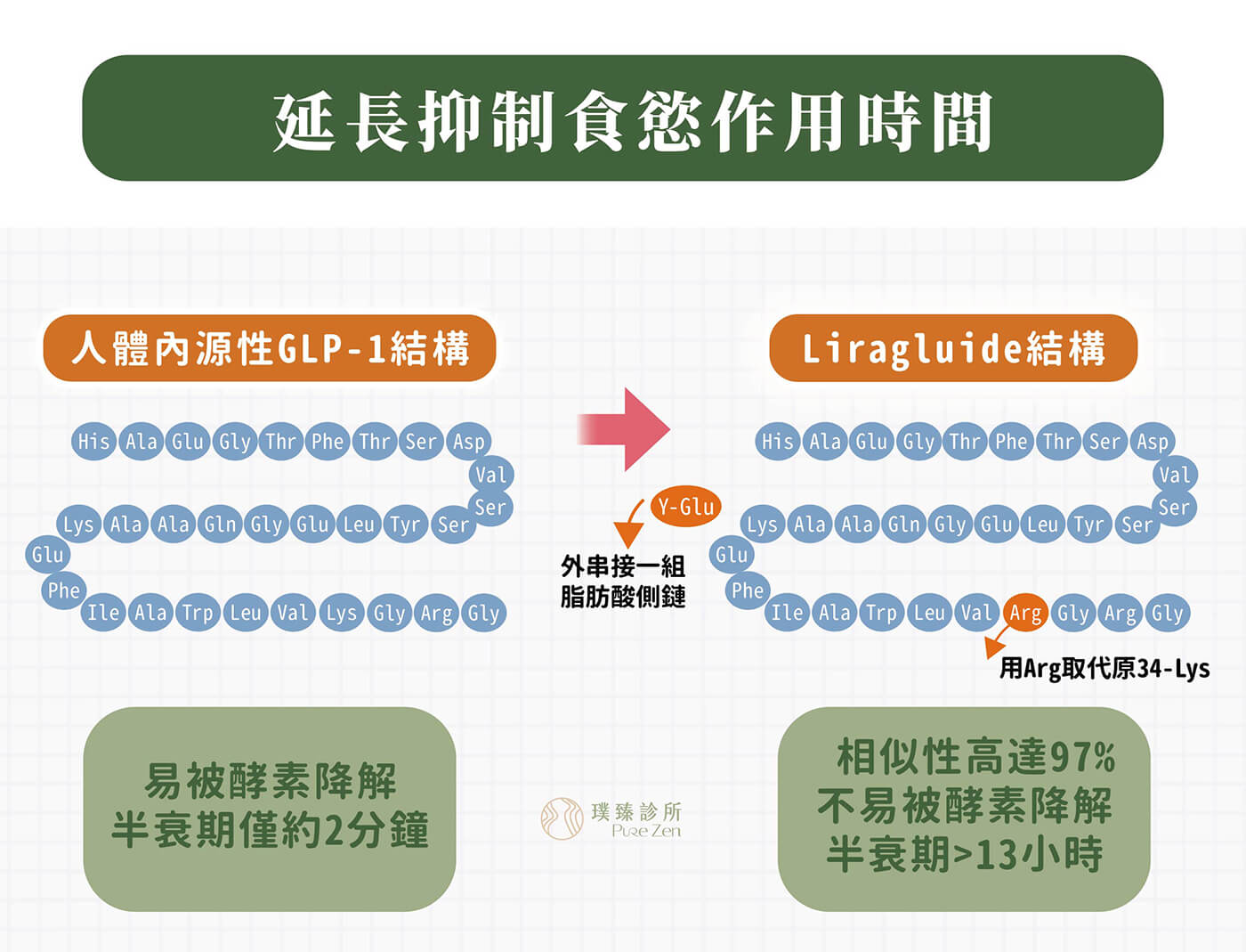 善纖達的減重原理，善纖達瘦瘦筆成分中的GLP-1類似物，與人體內源性的GLP-1相似性高達97%，研究指出Saxenda善纖達的GLP-1類似物可活化食慾和食物攝取的生理性調節因子，傳達至大腦下視丘，增加關鍵的飽足訊號、降低饑餓訊號。讓大腦產生飽足感，進而降低食慾、減少食物攝取，達到減重效果。